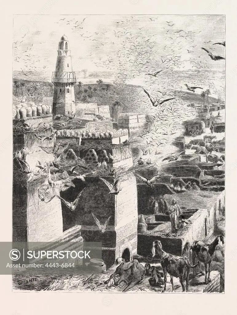 VILLAGE IN UPPER EGYPT. Egypt, engraving 1879