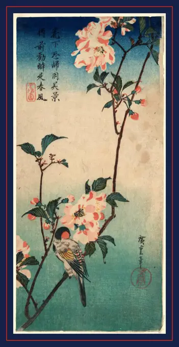 Kaido ni shokin, Small bird on a branch of Kaidozakura., Ando, Hiroshige, 1797-1858, artist, between 1833 and 1838, 1 print : woodcut, color ; 36.9 x 17.2 cm.