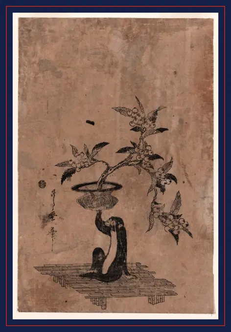 Saru no hanaike ni biwa, Monkey holding a potted loquat., Utamaro II, -approximately 1831, artist, between 1807 and 1812, 1 print : woodcut, color ; 35 x 23.2 cm., Print shows a monkey sitting on a bamboo mat with right hand raised, holding a flower pot containing a loquat plant laden with fruit.