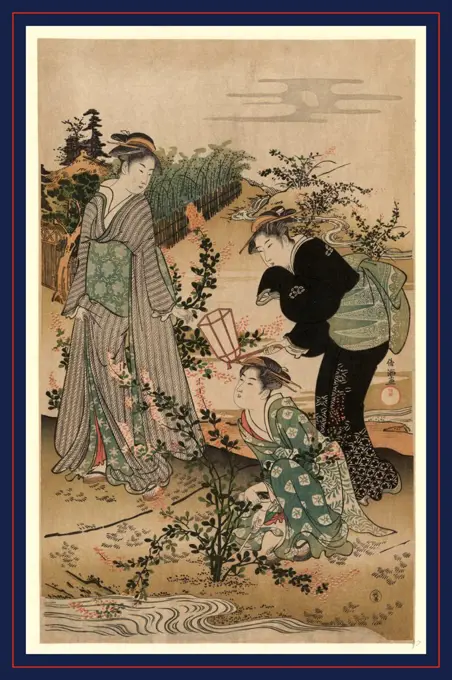 Hagi no tamagawa, Bushclover at Tamagawa., Kubo, Shunman, 1757-1820, artist, between 1780 and 1820, 1 print : woodcut, color., Print shows three women, one holding a lantern, looking at bushclover on the banks of the Tama River.