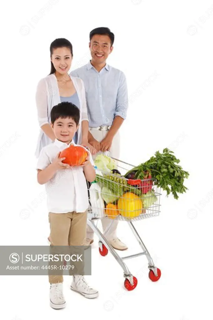 Family shopping with shopping cart