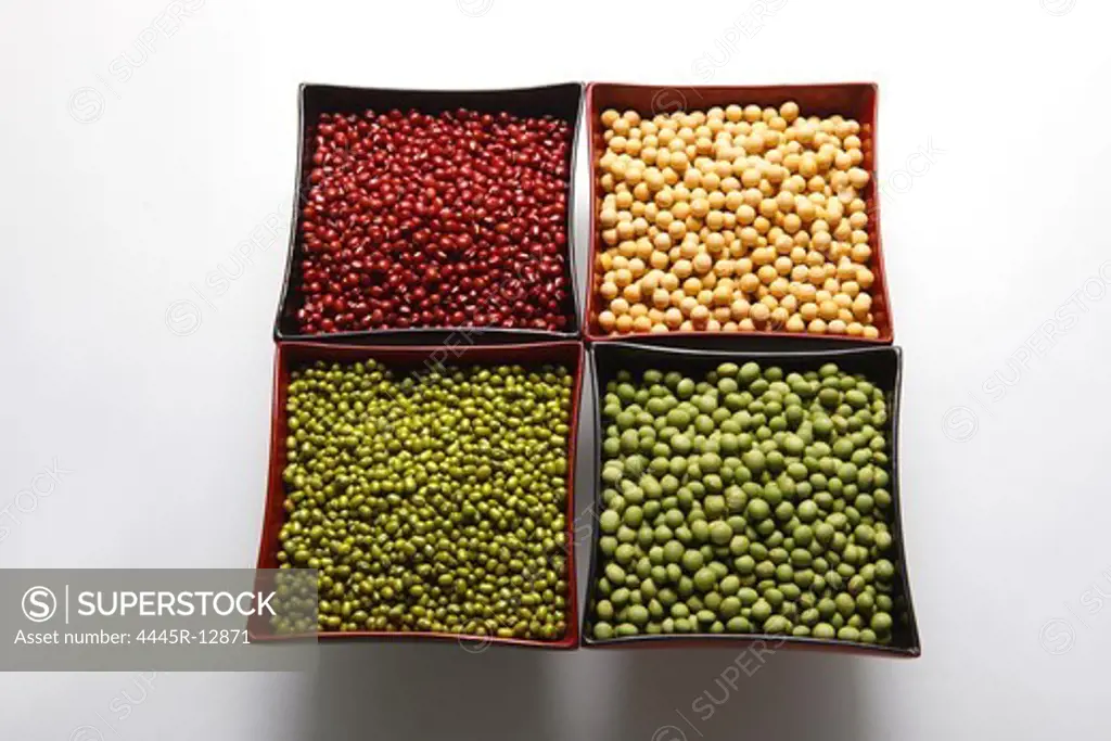 Red bean,green bean,soybeen and mung bean
