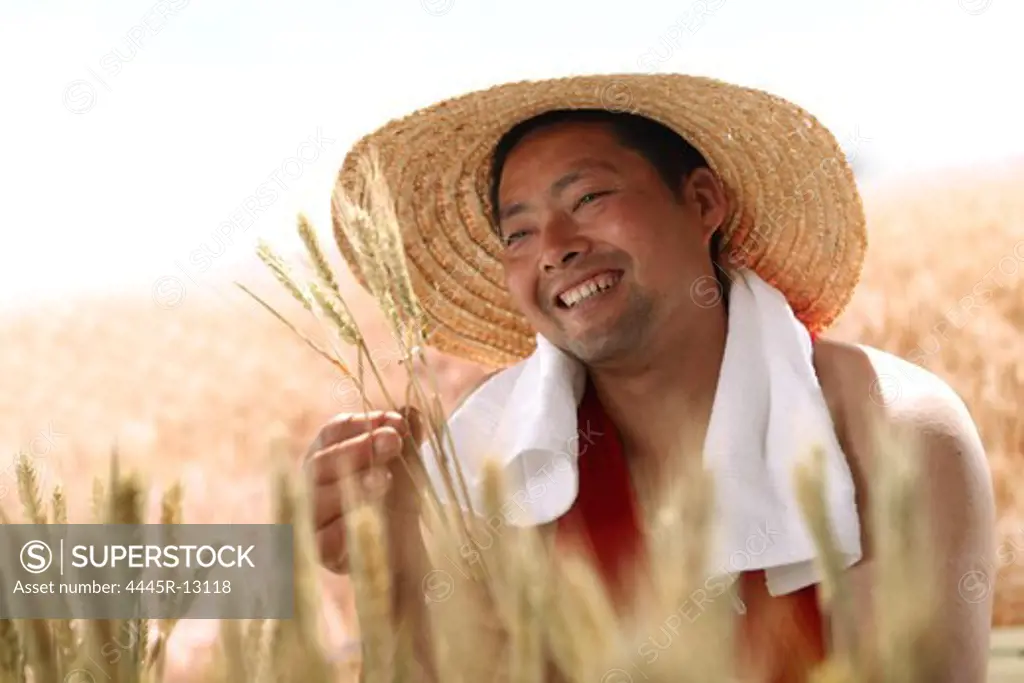 Farmer holding wheat in field