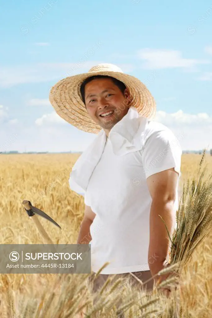 Farmer in wheat field with sickle
