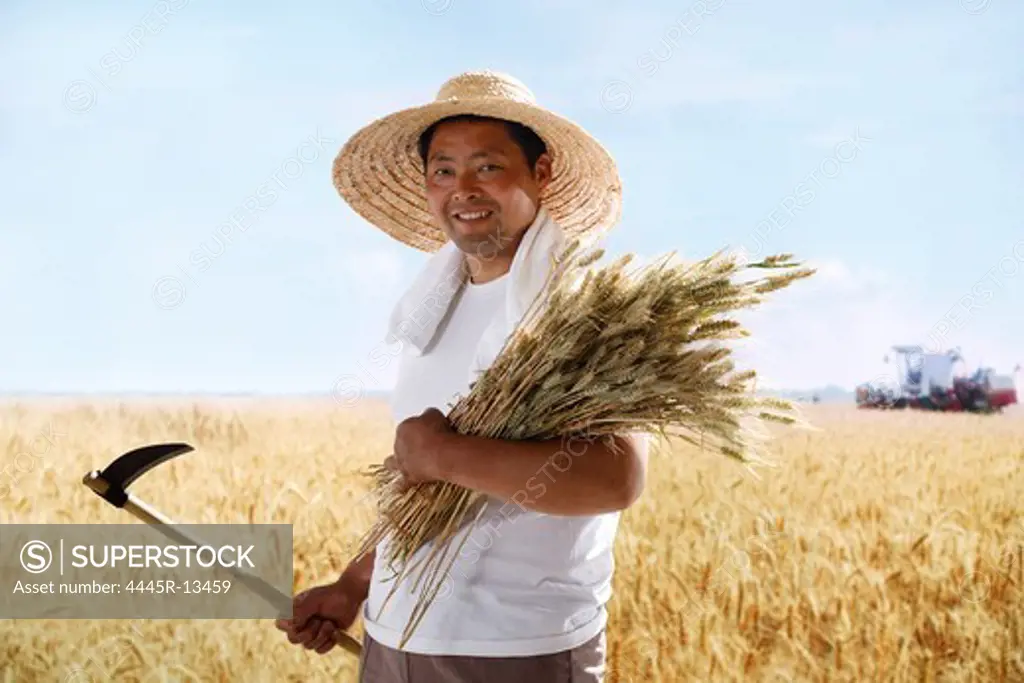 Farmer holding wheat and sickle in field