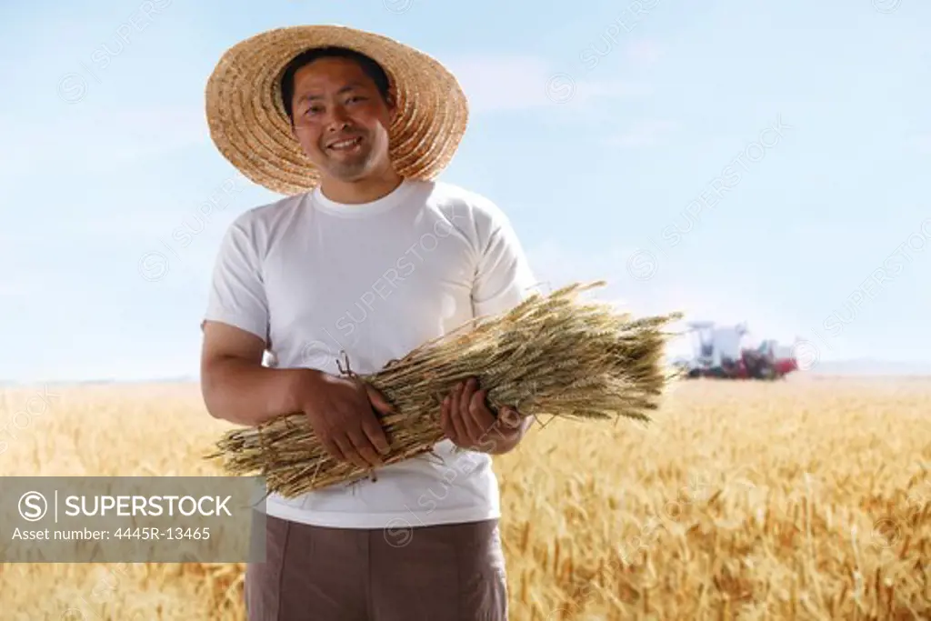 Farmer holding wheat in field