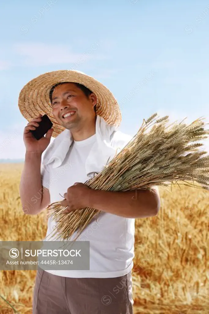 Farmer holding wheat and making phone call in field
