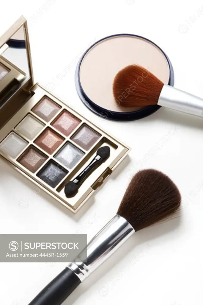 Powder foundation and makeup brush