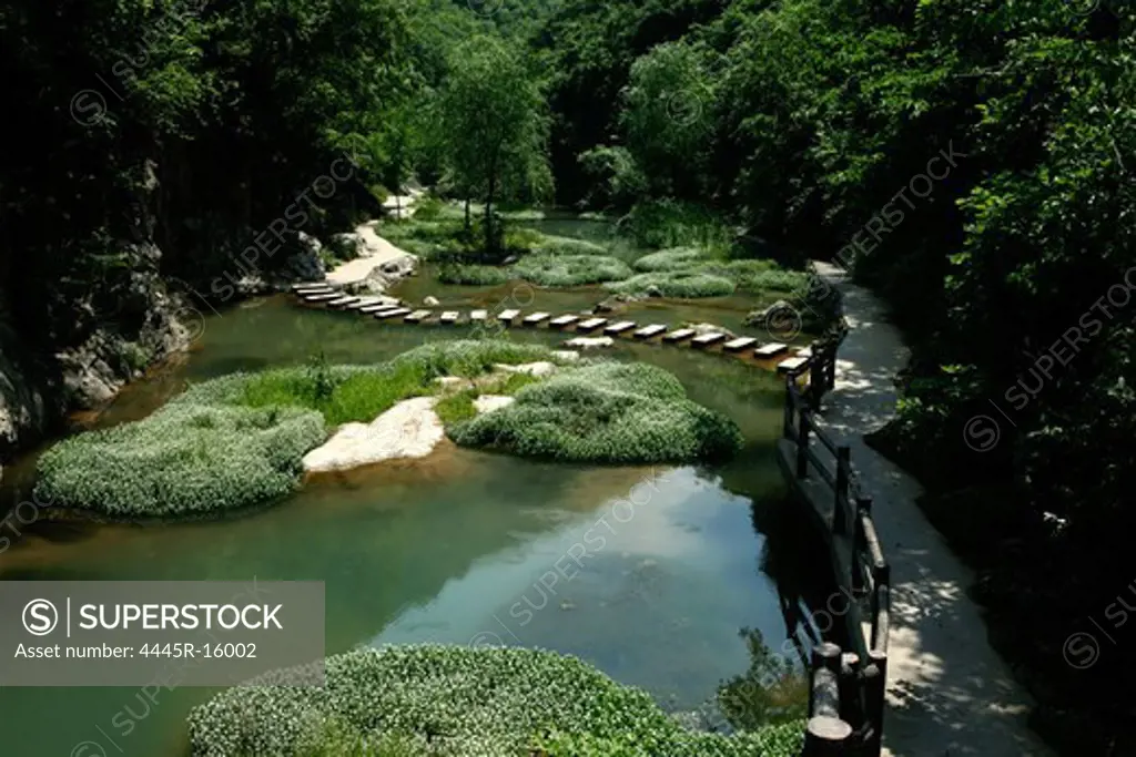 Nature scenery of river