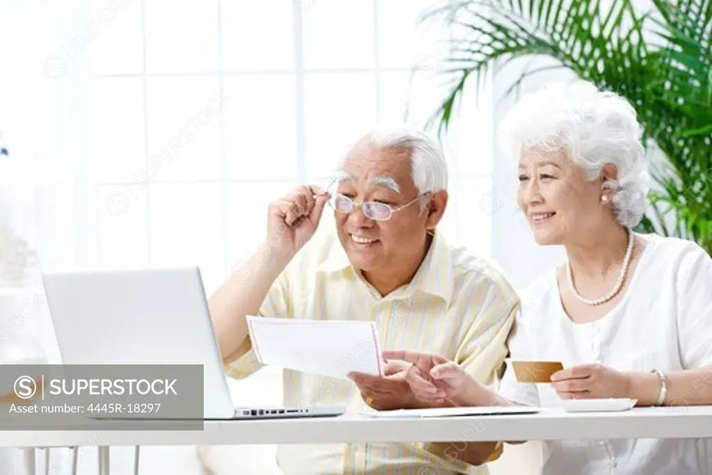 Happy elderly couple using a computer