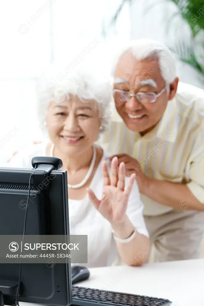 Happy elderly couple using a computer