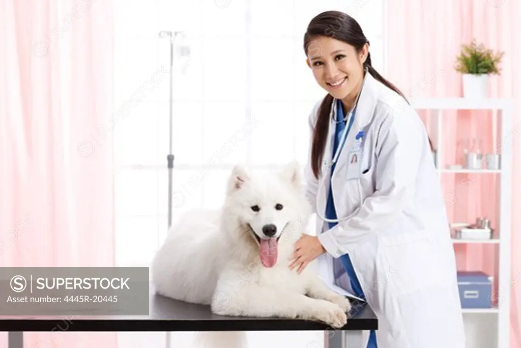 Veterinary checks to make puppy
