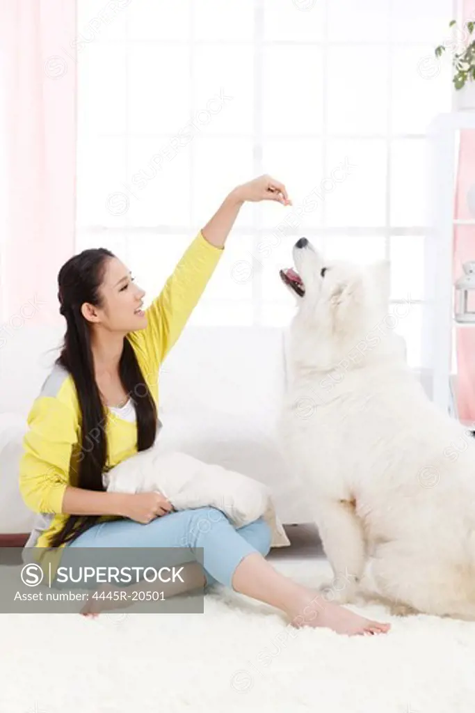 Young woman and pet dog playing