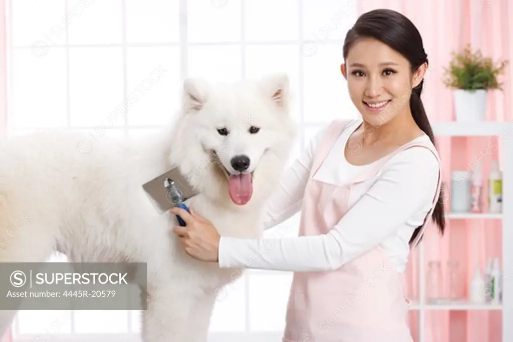 Young woman to dog grooming