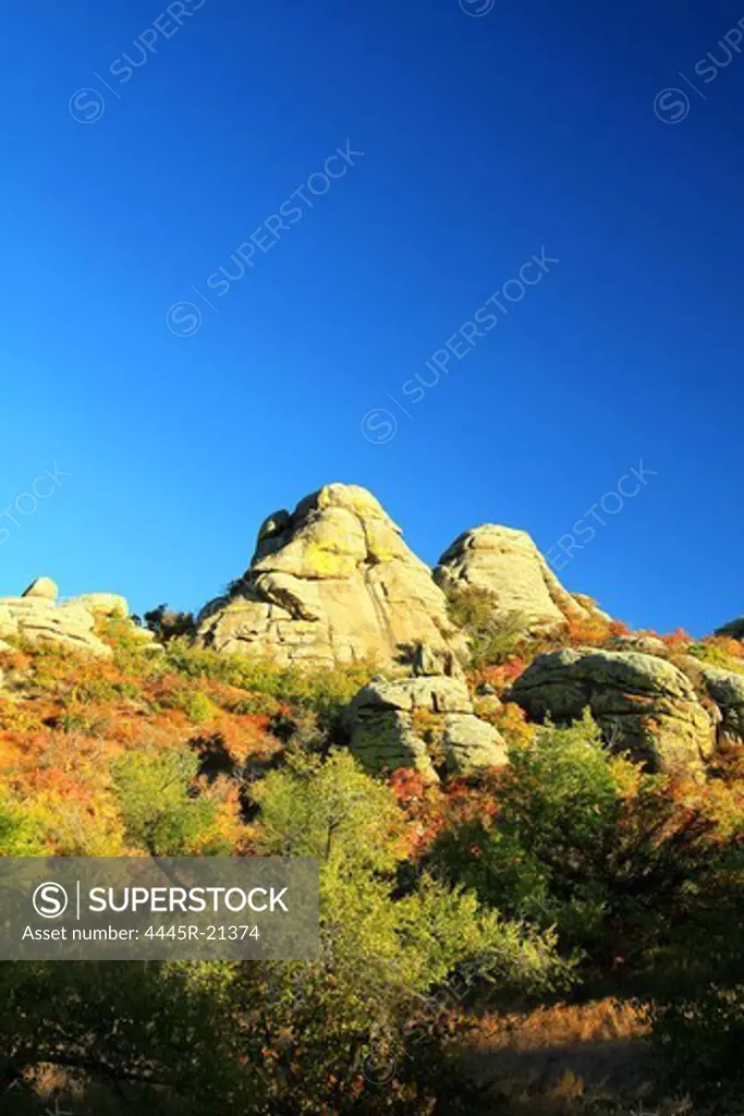 Mandolin mountain autumn