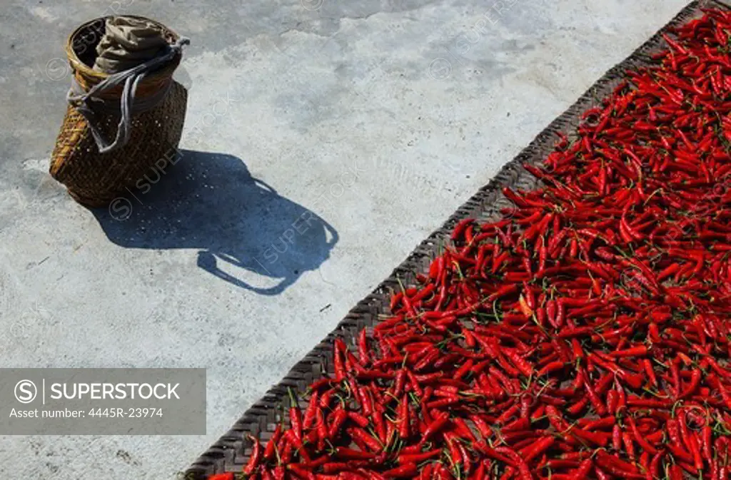 Changsha, Hunan red pepper