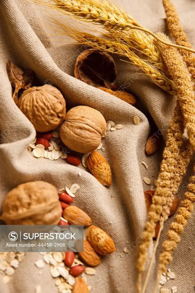 Studio shot of assorted nuts