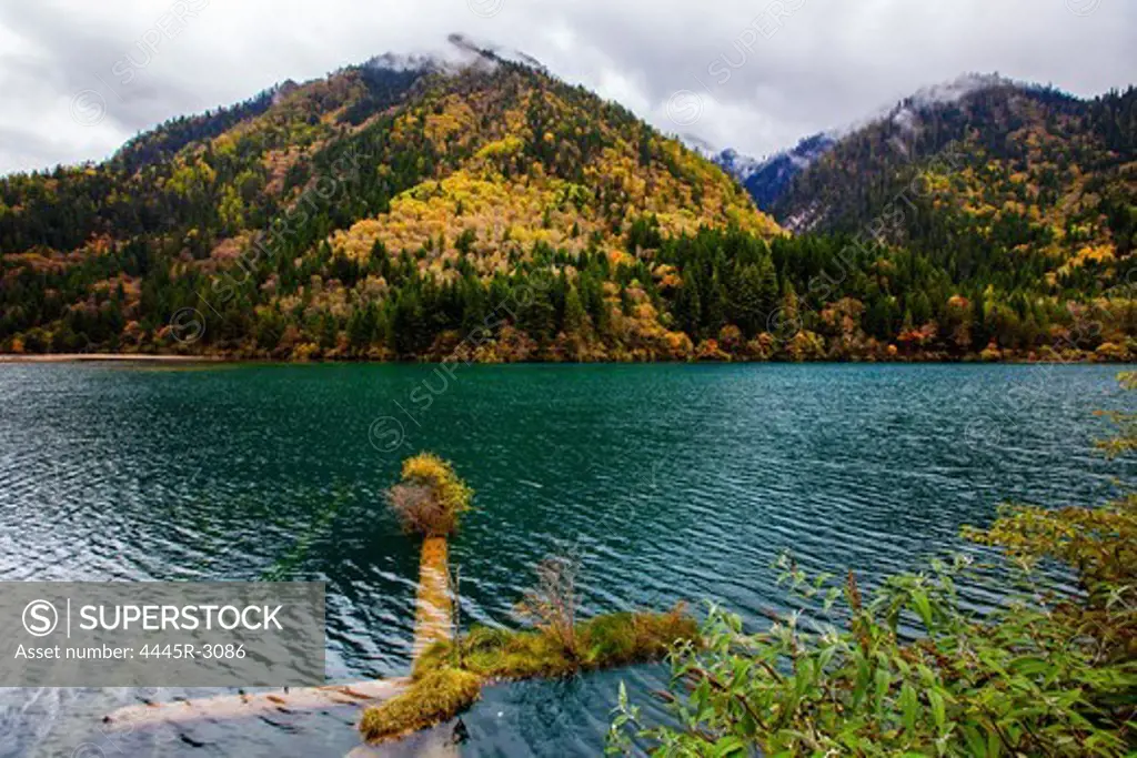 Jiuzhaigou,Sichuan