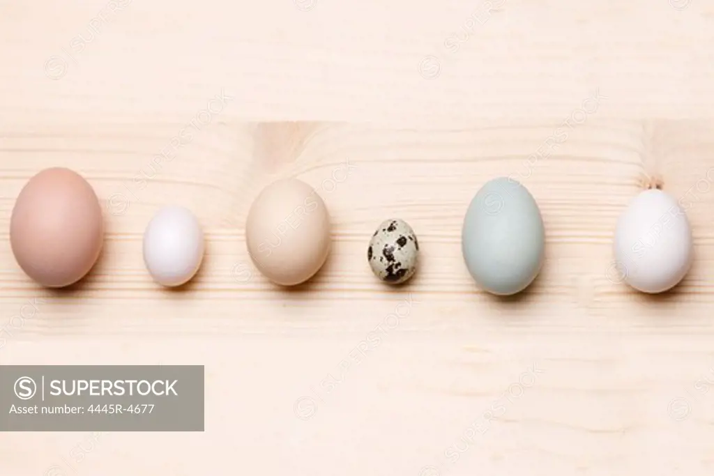 A row of eggs