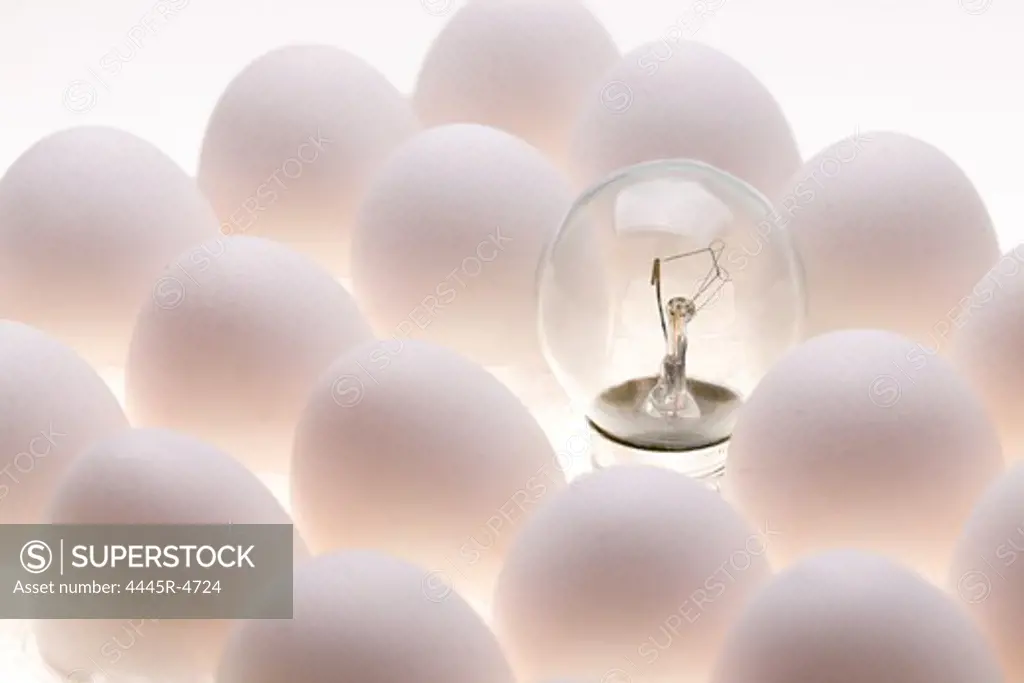 Light bulb among eggs
