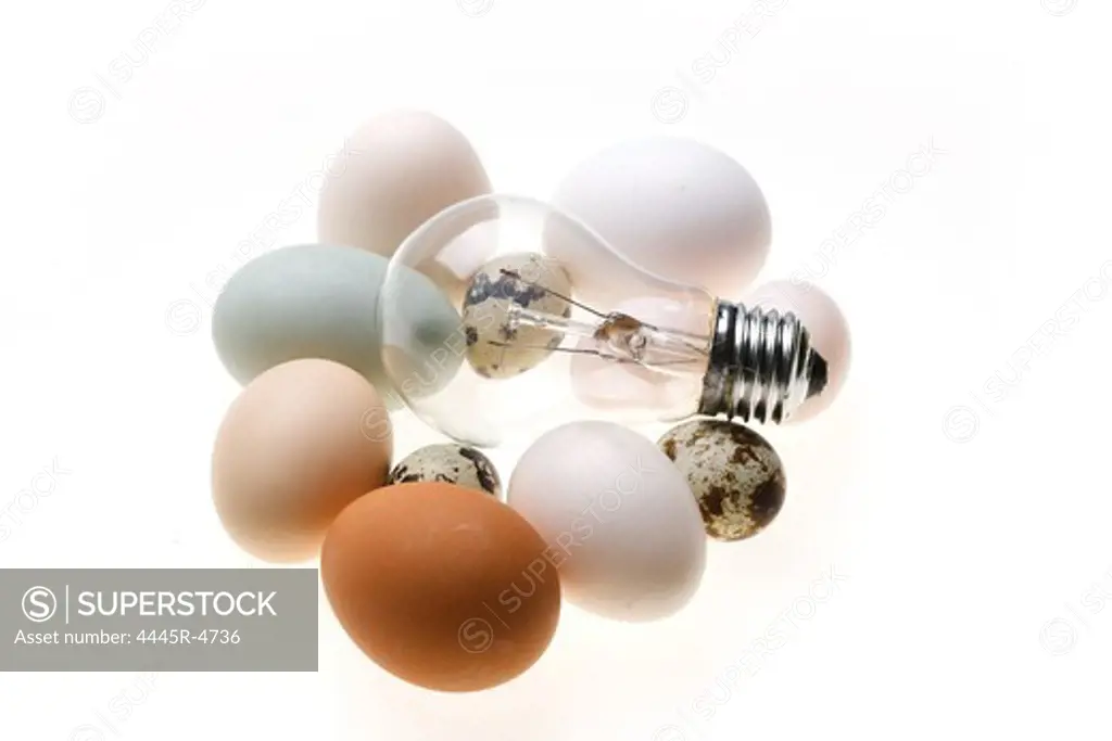 Eggs and bulbs