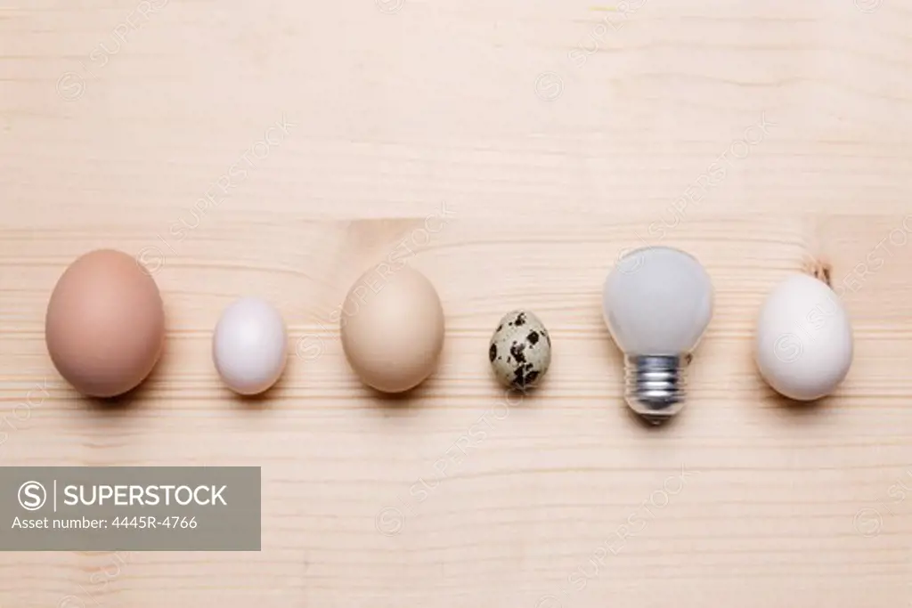 Eggs and light bulb