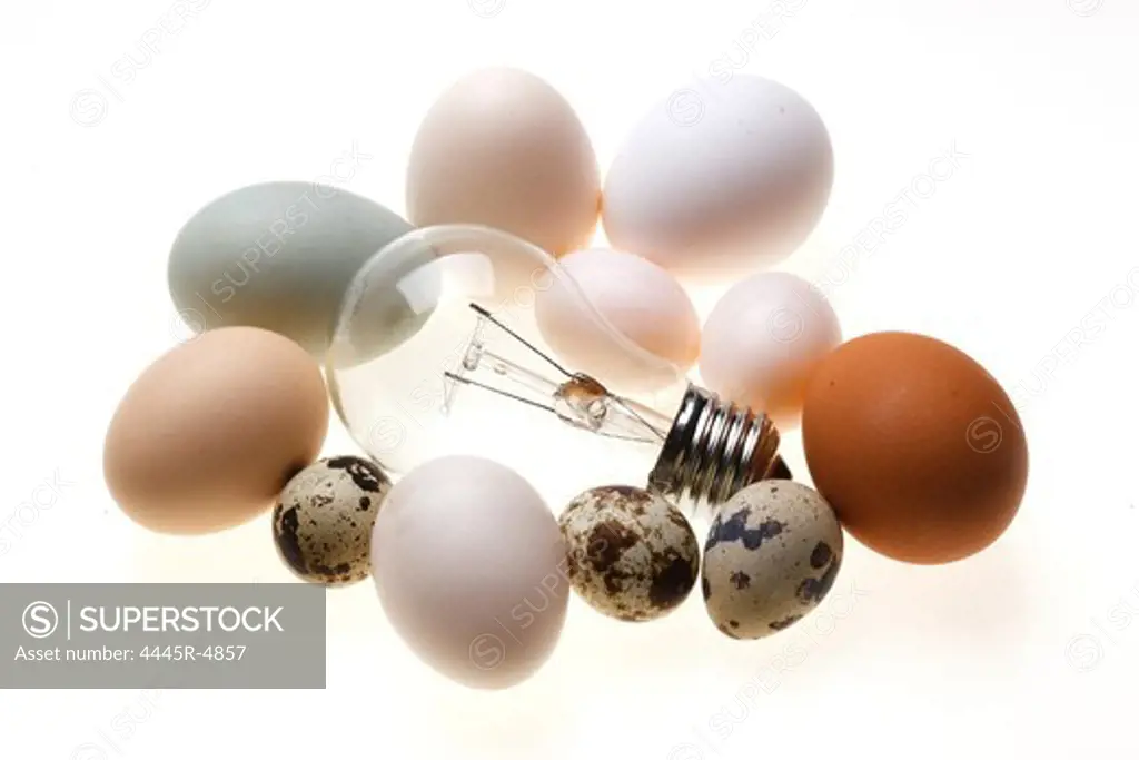Eggs and bulb