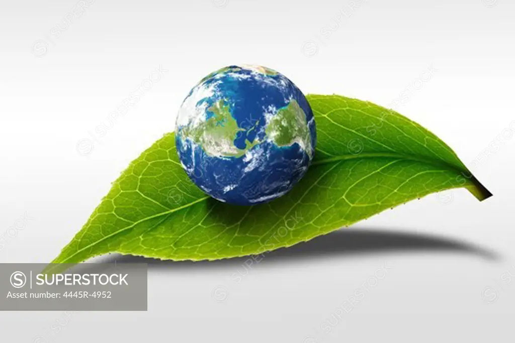 Digital composite of green leaf and earth
