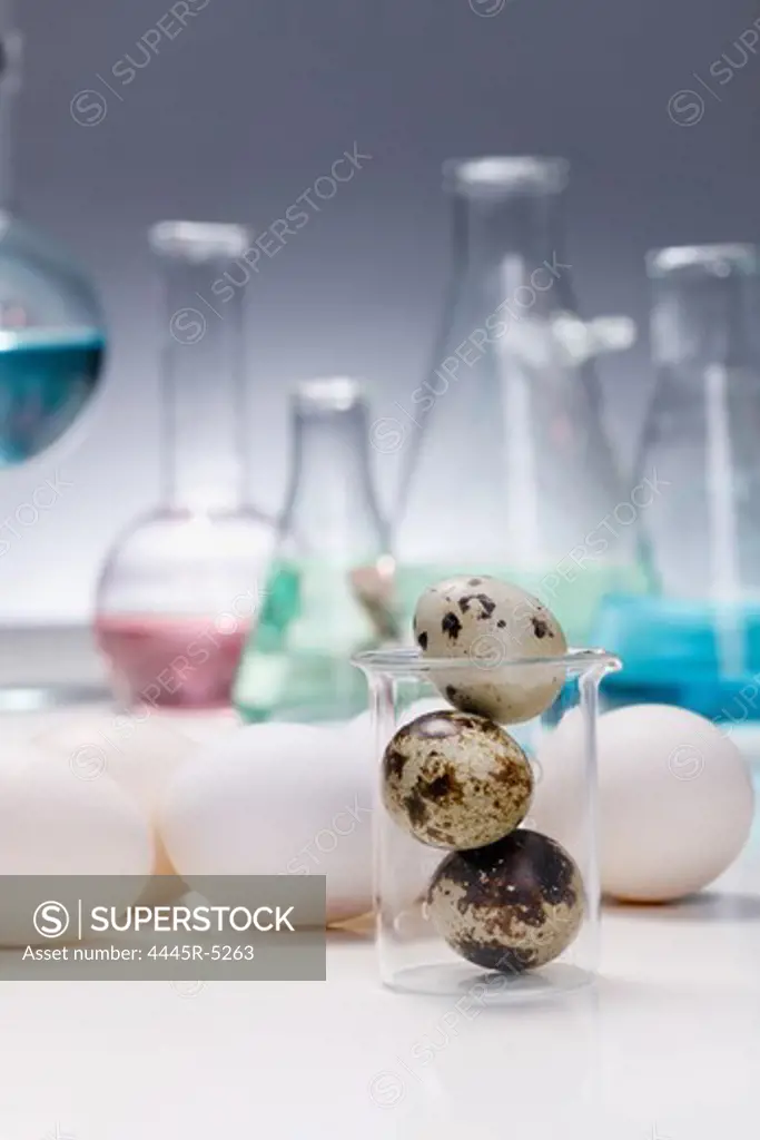 Eggs,quail eggs and labwares