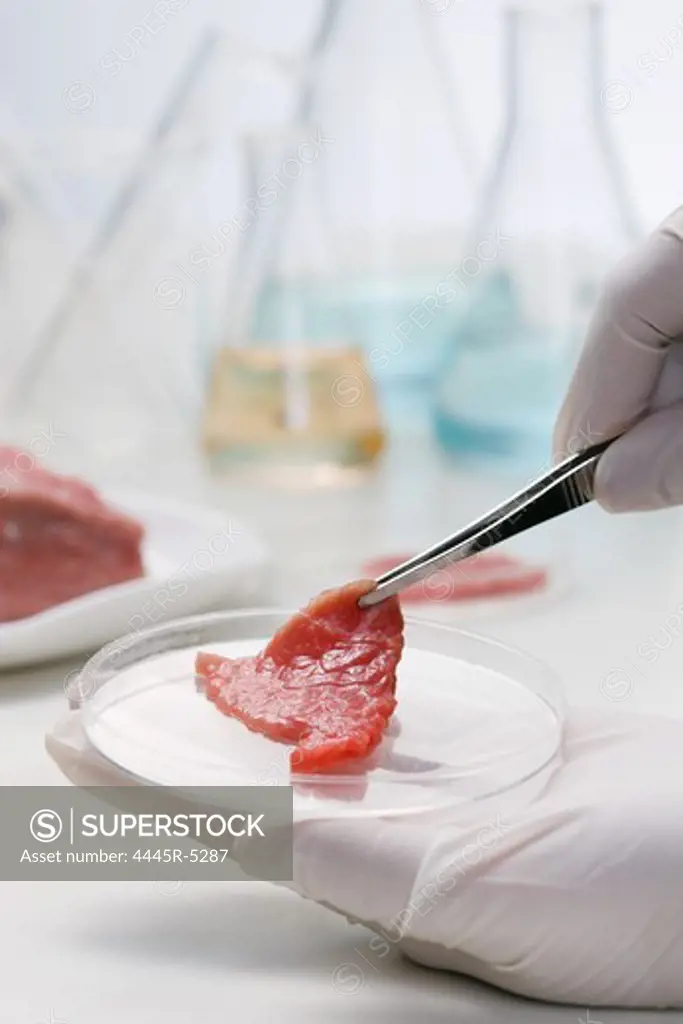 Asian people engaging in nurturing research with raw meat