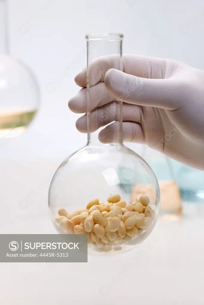 Obervation of grains in laboratory
