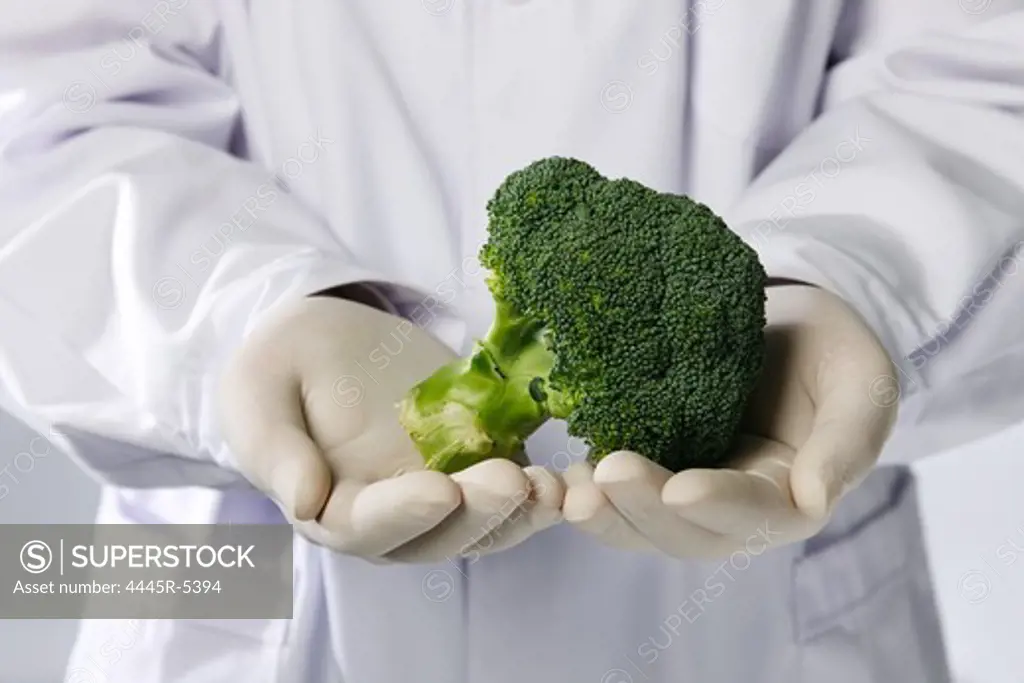 Researcher holding a broccoli