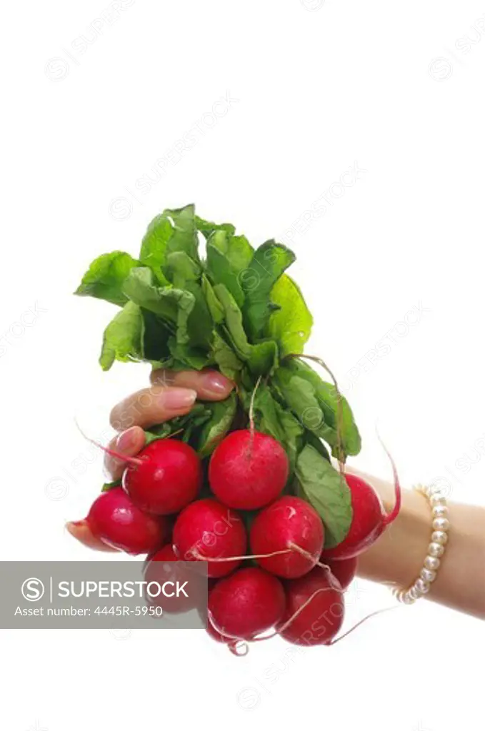 Hand holding vegetable