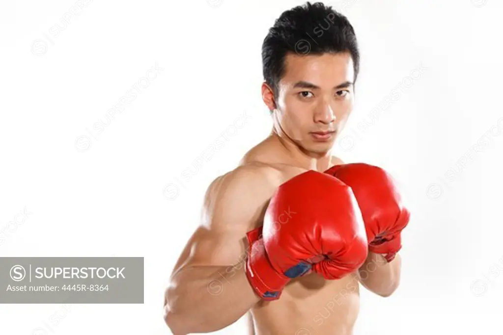 Portrait of male boxer