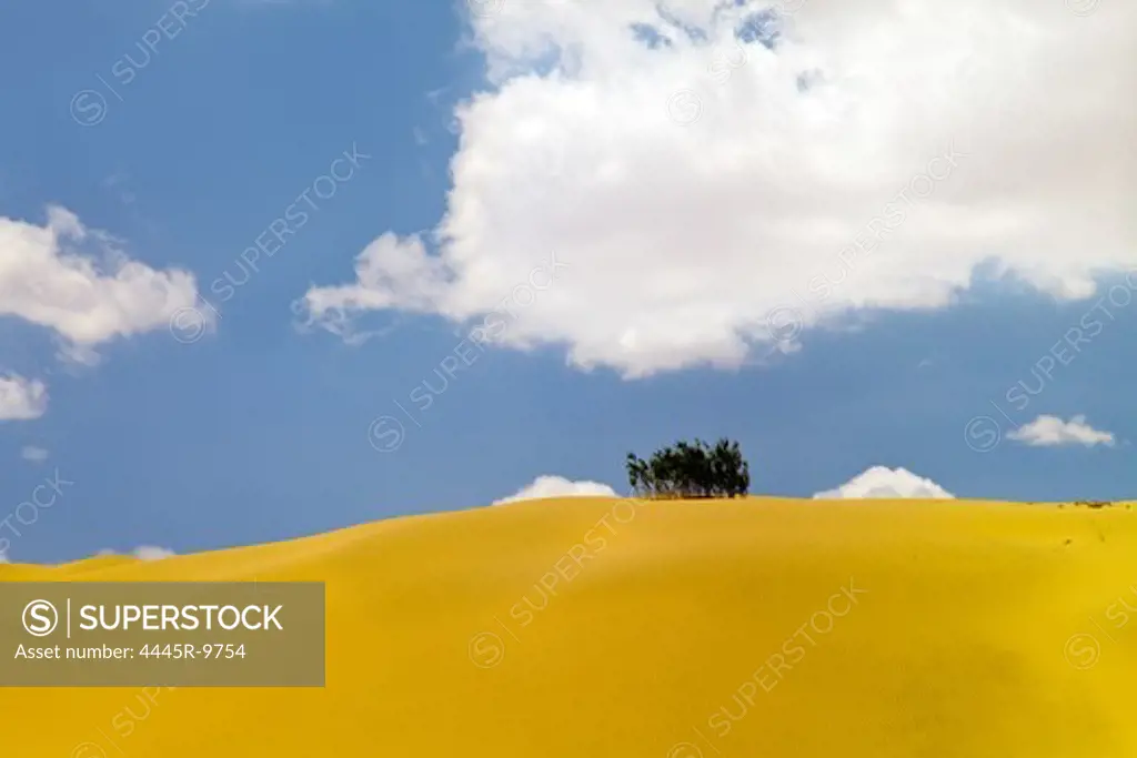 Desert in Inner Mongolia