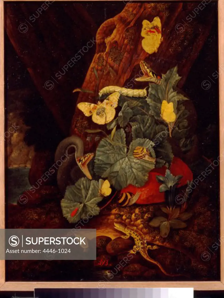 FALCH Johann(1687-1727) Butterflies and a lizard Oil on copper 36x29 State Pushkin Museum of Fane Arts Moscow