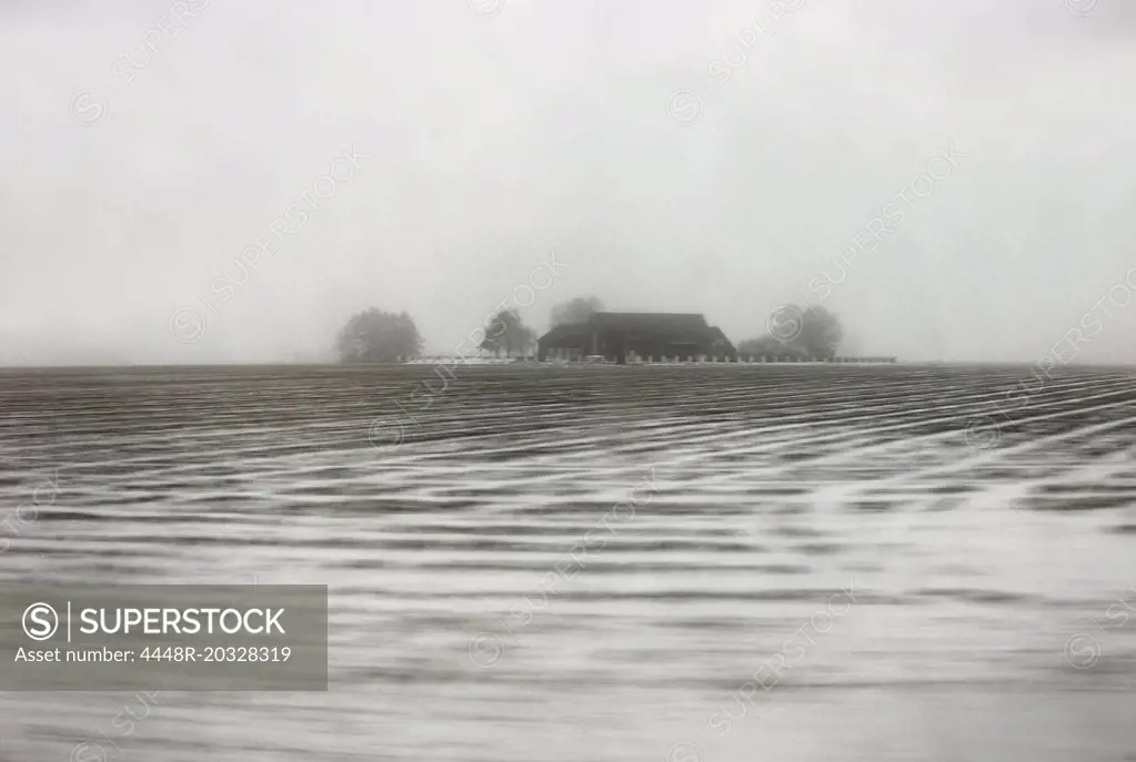 Country estate in the winter