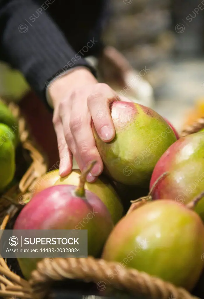 Person grabs a Mango