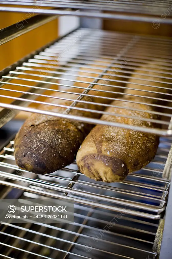 Newly baked bread