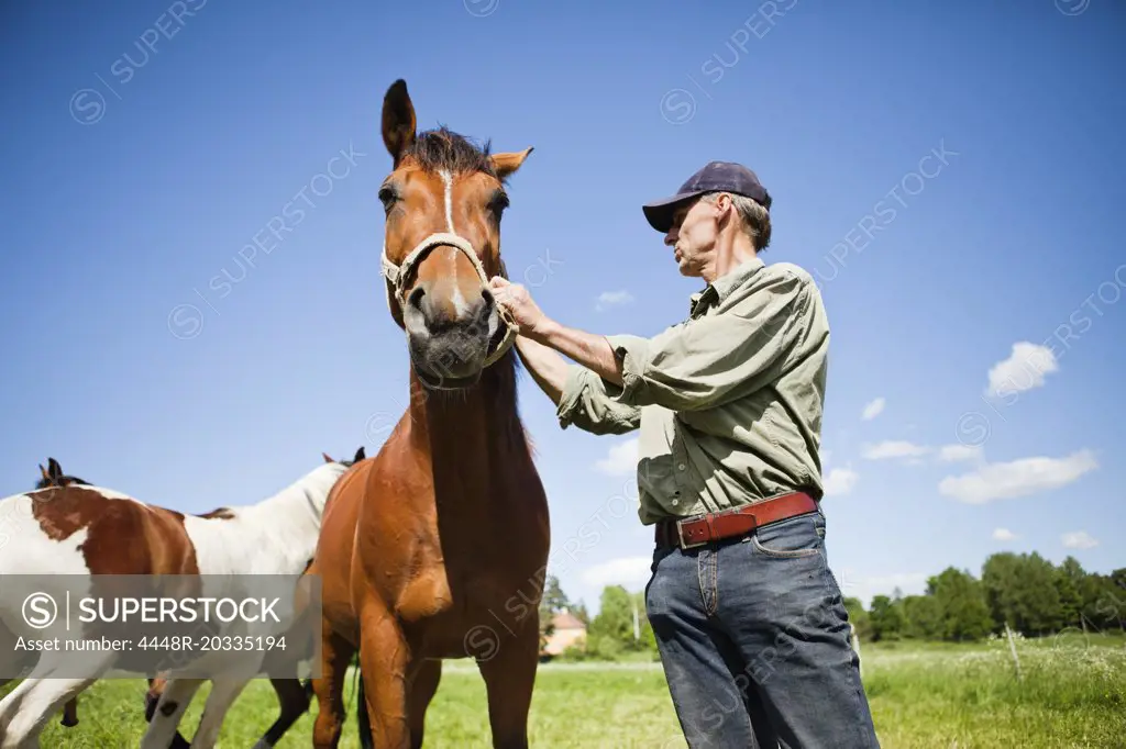 Man with horse 2