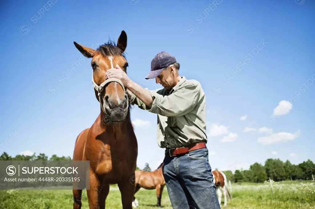 Man with horse 3