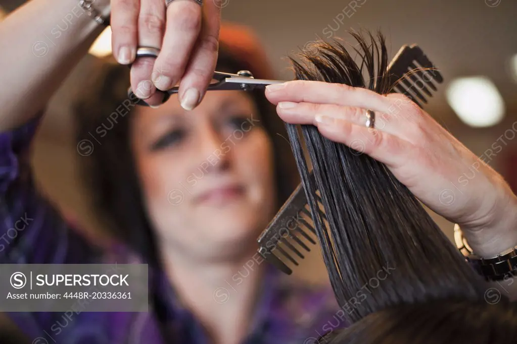 Hair dresser cutting hair