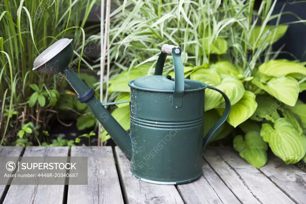 Watering can on wooden plank with plants in background