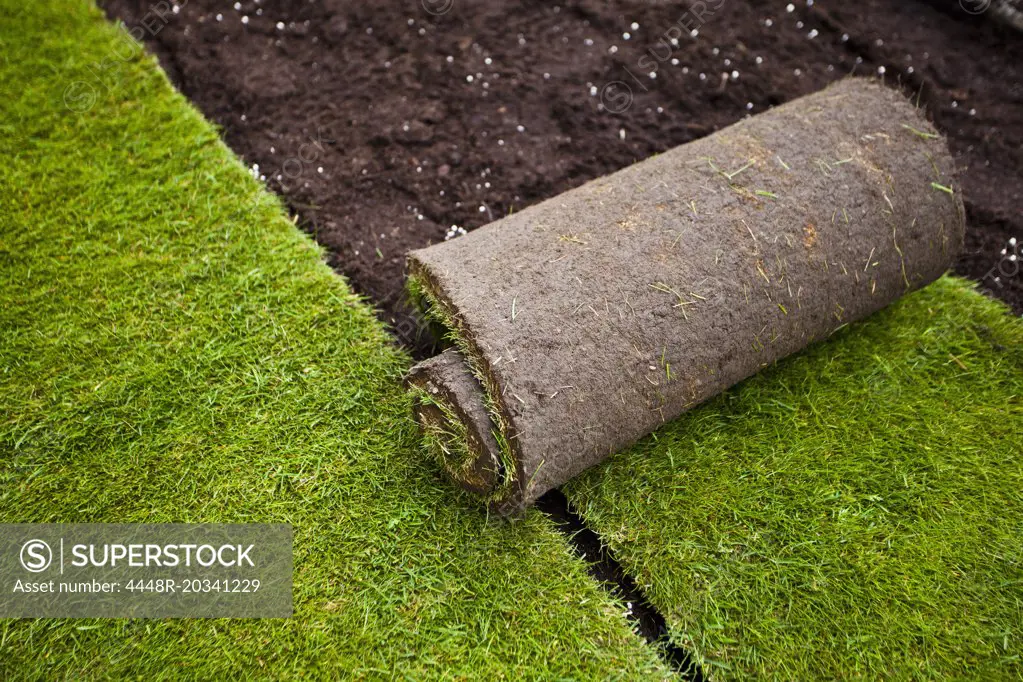 Rolled grass turf in formal garden