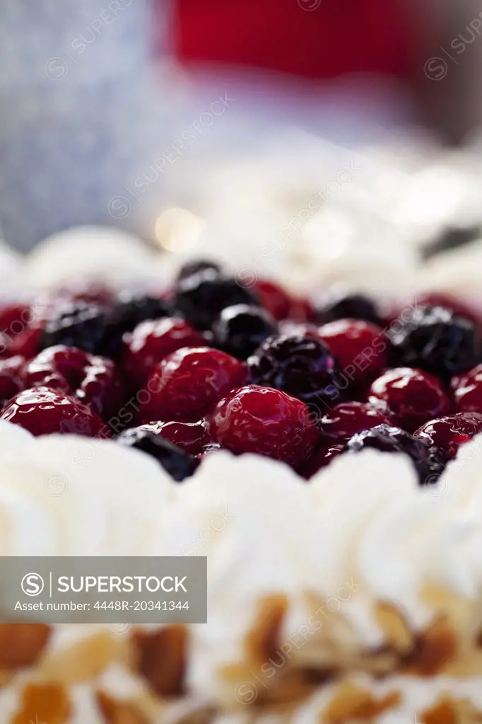 Close-up of fresh cake with blueberry and raspberry topping