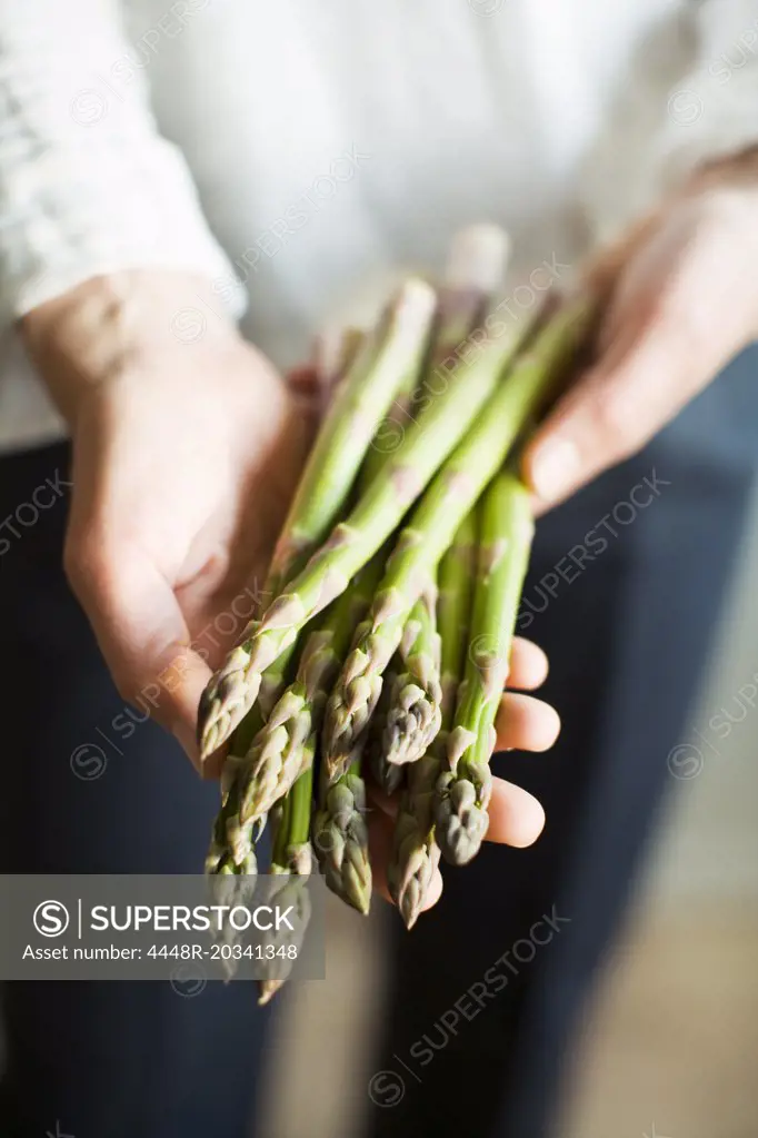Midsection of woman holding bunch of asparagus vegetable