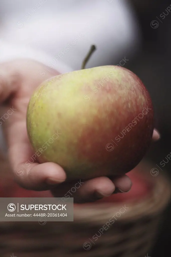 Close-up of hand showing fresh apple