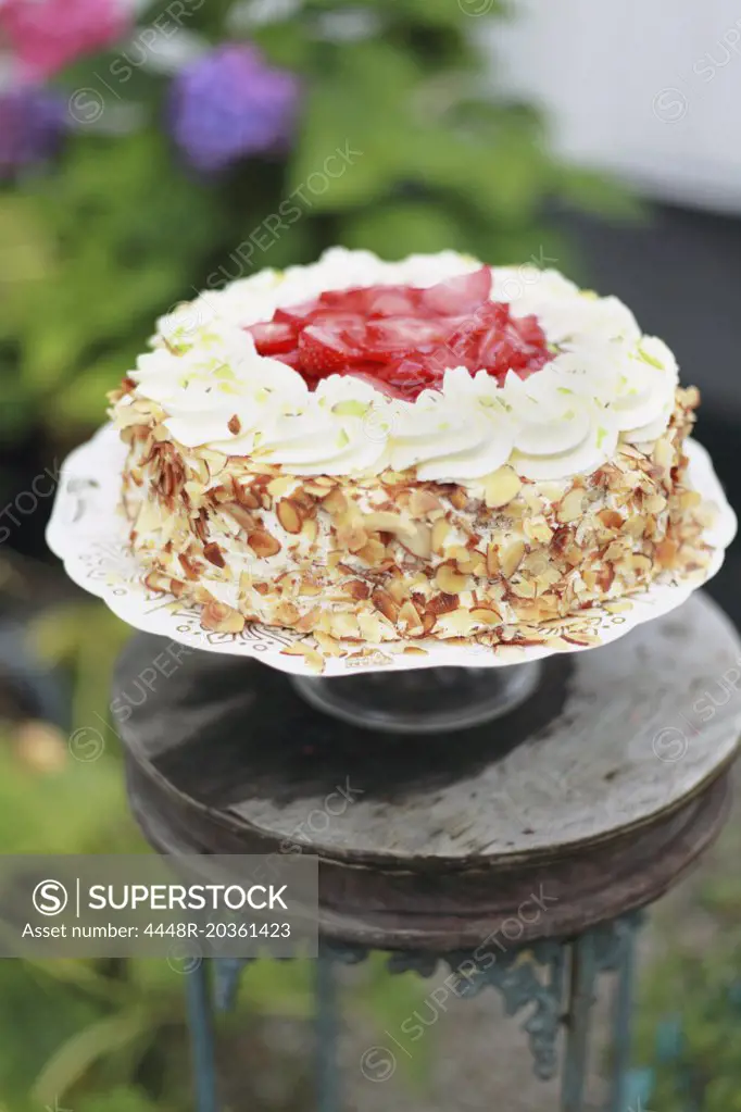 Close-up of dried food cake and strawberry garnishing