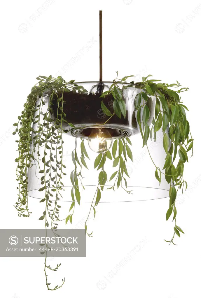 Hanging lamp with flowers in it