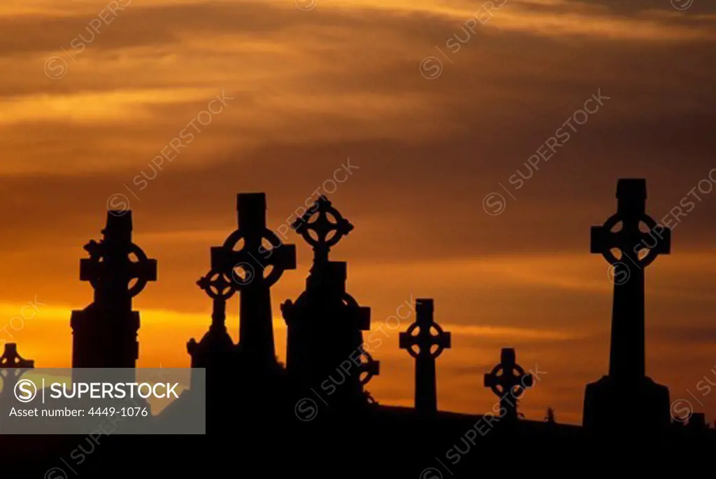 Celtic crosses in front of evening sky, cloister ruin Clonmacnoise, County Offaly, Ireland, Europe
